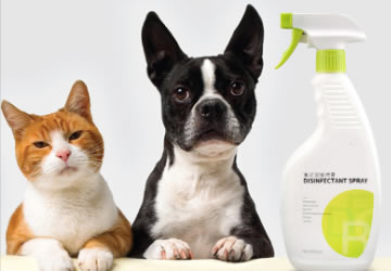 Pet Spray